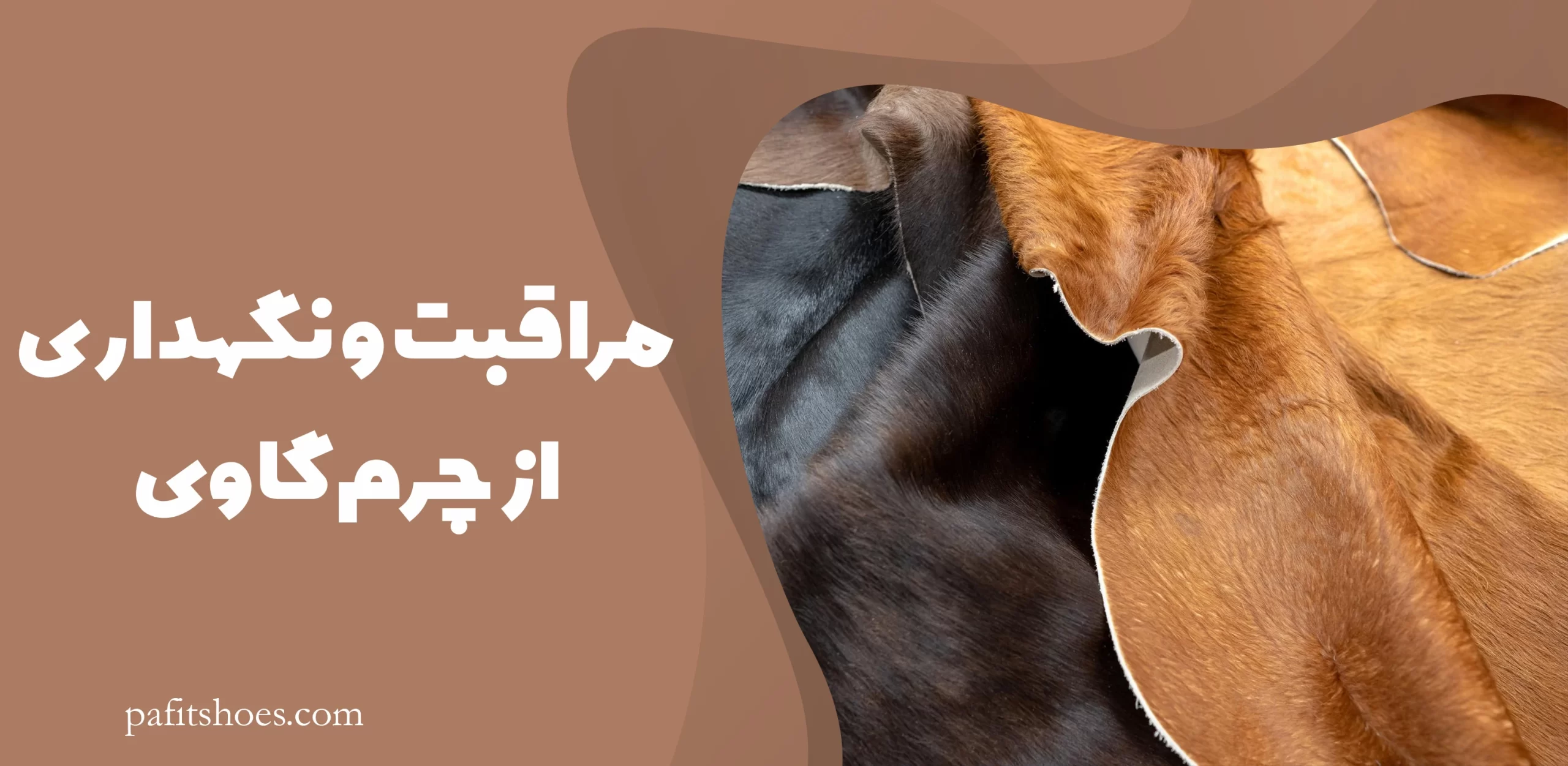 مراقبت و نگهداری از چرم گاوی